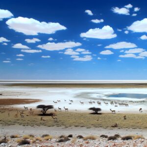 Urlaub Namibia • Etosha Nationalpark (Sehenswürdigkeiten)